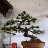 DSCF9205