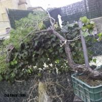 IMG-20150129-WA0022