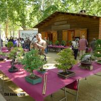maig 2013 003 (1)