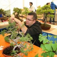 ECOJARDI 2014 012