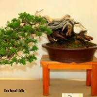 ECOJARDI 2014 024
