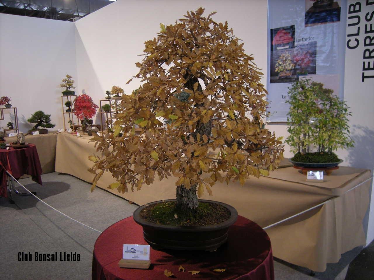 2010